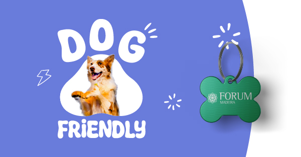 Dog Friendly