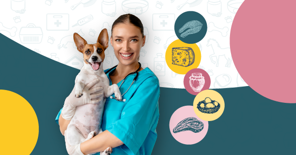 Mostra Medvet chega ao Forum Madeira a 17 e 18 de outubro