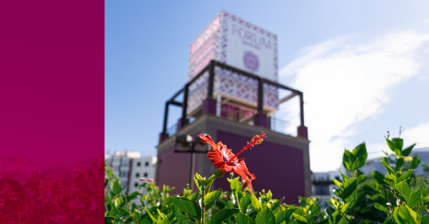 Prepara a primavera 2026 no Forum Madeira