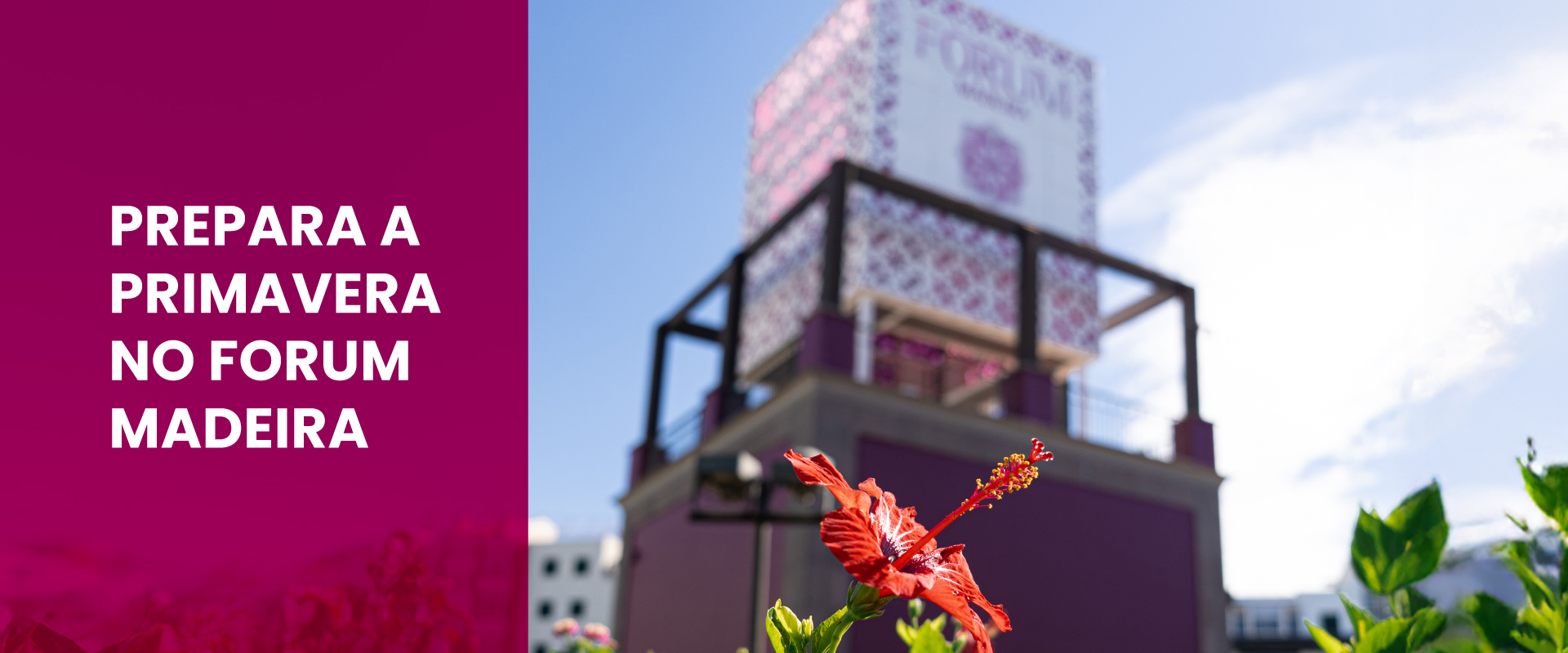 Prepara a primavera 2026 no Forum Madeira
